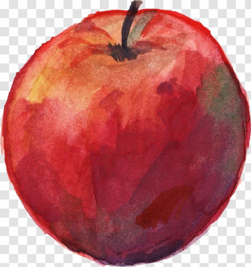 Apple Watercolor Painting - Watercolour Transparent PNG