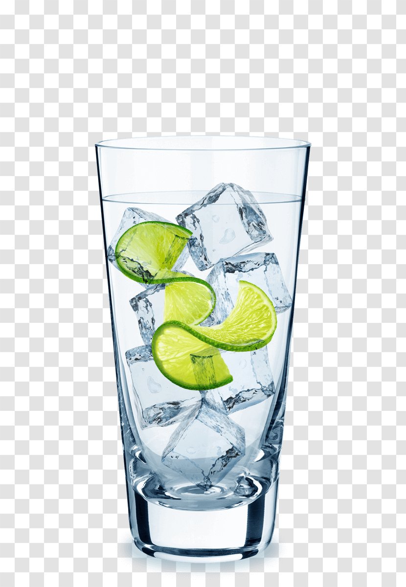 Gin And Tonic Vodka Cocktail Sea Breeze - Caipiroska Transparent PNG