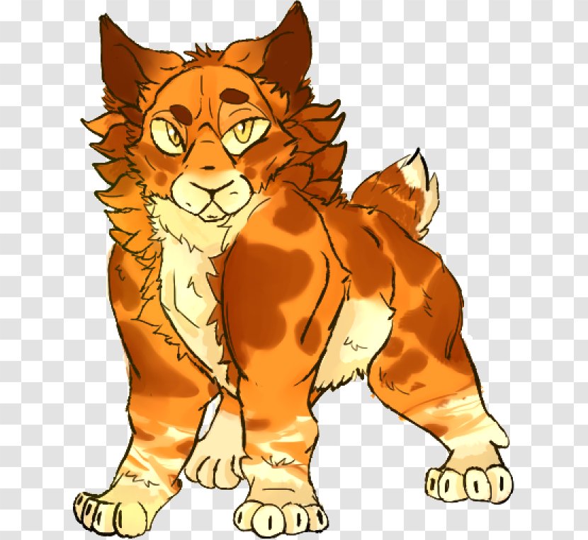 Whiskers Tiger Lion Cat Red Fox - Organism Transparent PNG