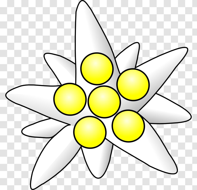 Flower Download Clip Art - Edelweiss Tattoo Transparent PNG