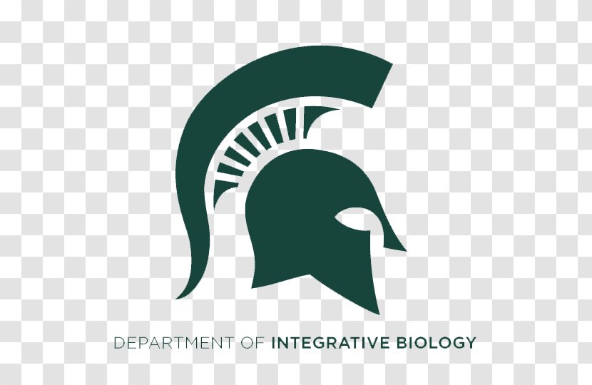 Eli Broad College Of Business University Michigan State Spartans Sparty Higher Education - Silhouette - Student Transparent PNG