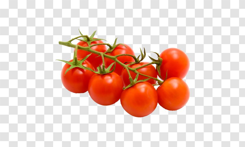 Cherry Tomato Bruschetta Fruit Variety Food - Chili Pepper - Vegetable Transparent PNG