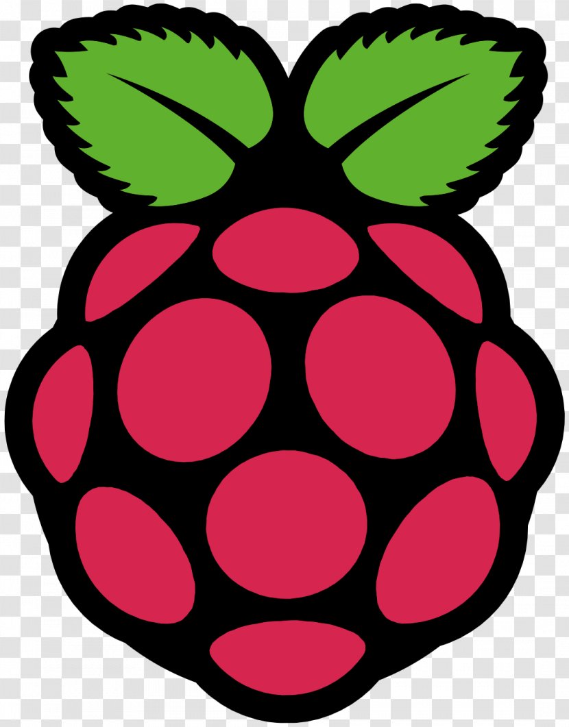 Raspberry Pi 3 Raspbian Computer Kodi - Lazarus - Flea Transparent PNG
