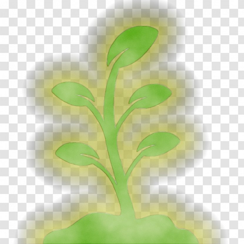 Leaf Plant Stem Tree Plants Transparent PNG