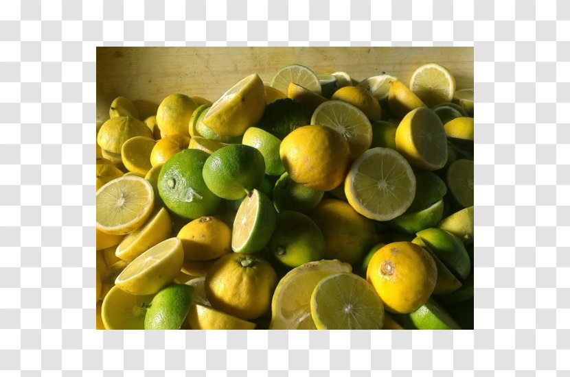 Sweet Lemon Key Lime Bergamot Orange Persian - Citric Acid Transparent PNG