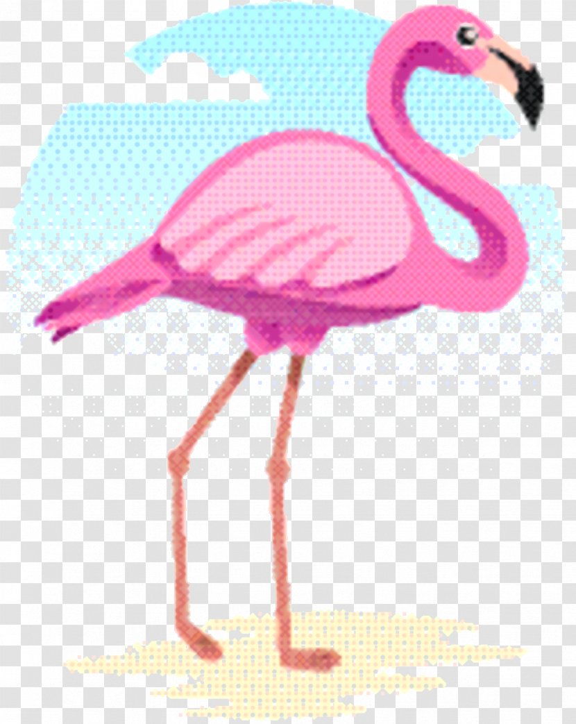 Pink Flamingo Beak Wildlife Water Bird Transparent Png - flamingos roblox password 2019