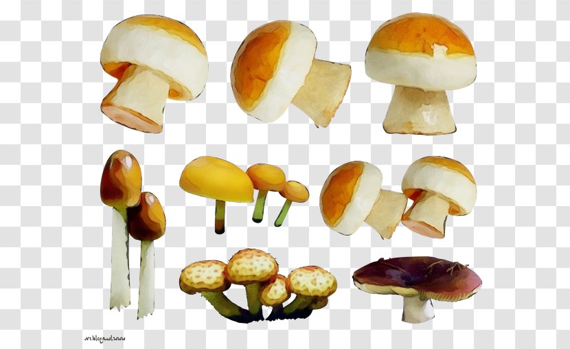 Mushroom Cartoon - Russula Integra - Ingredient Enokitake Transparent PNG