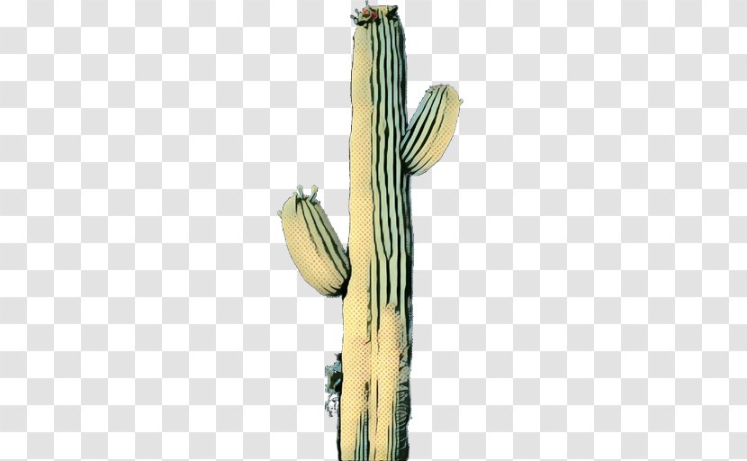 Cactus Cartoon - Plant Stem - San Pedro Hedgehog Transparent PNG