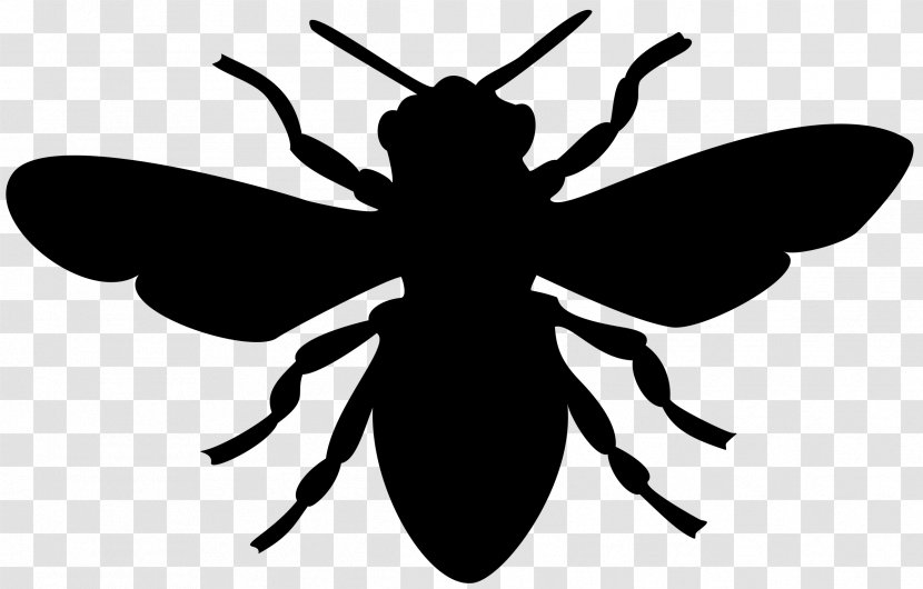 European Dark Bee Bumblebee Clip Art - Bees Transparent PNG