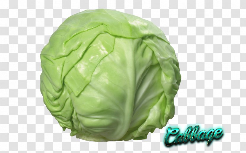 Red Cabbage Cauliflower Savoy Napa - Vegetable Transparent PNG