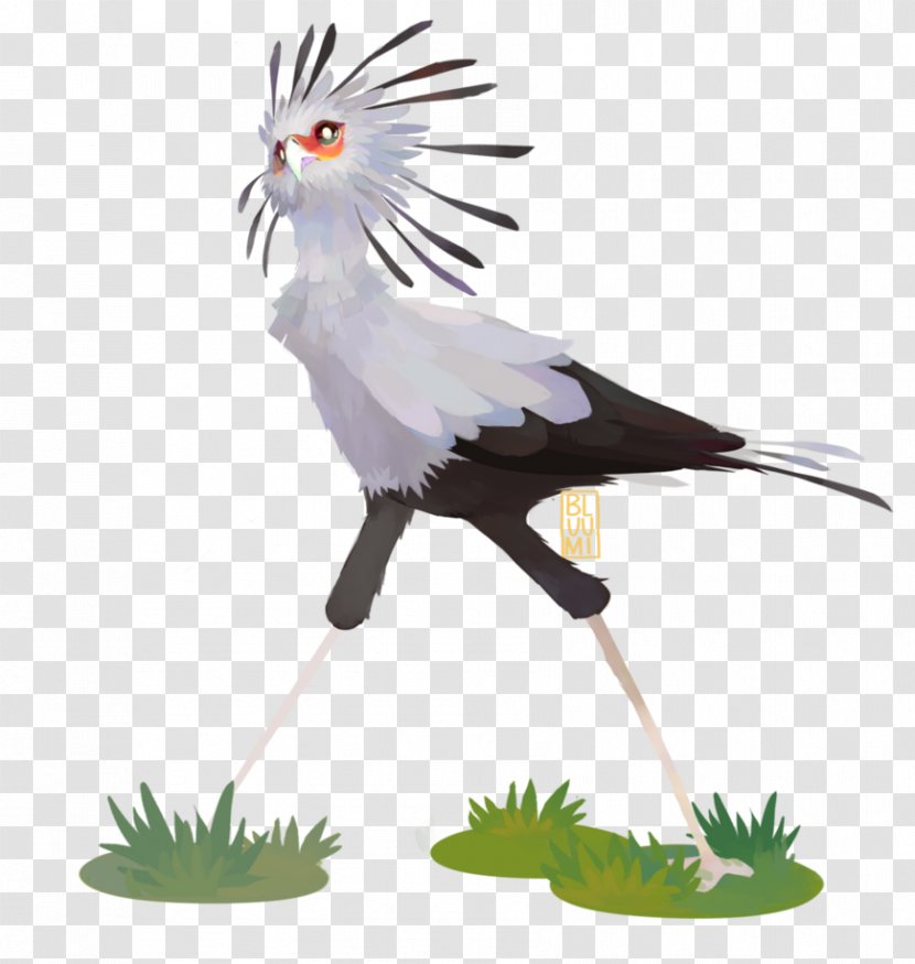 Secretarybird Vulture Crane - Cockatiel - Bird Transparent PNG