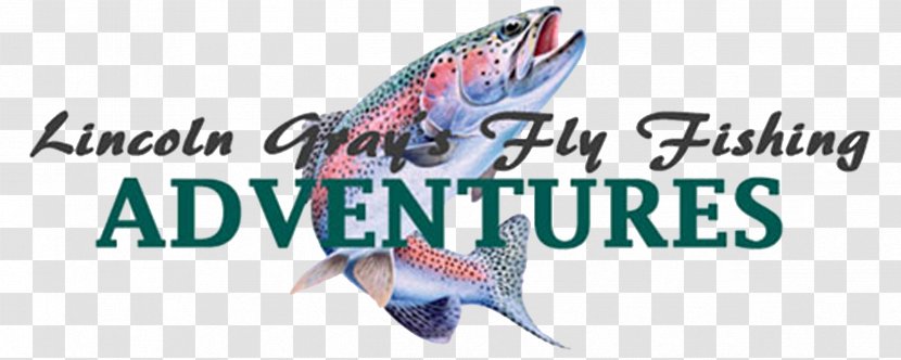 Bryan College Of Health Sciences Fly Fishing Angling - Shoe - Club Transparent PNG