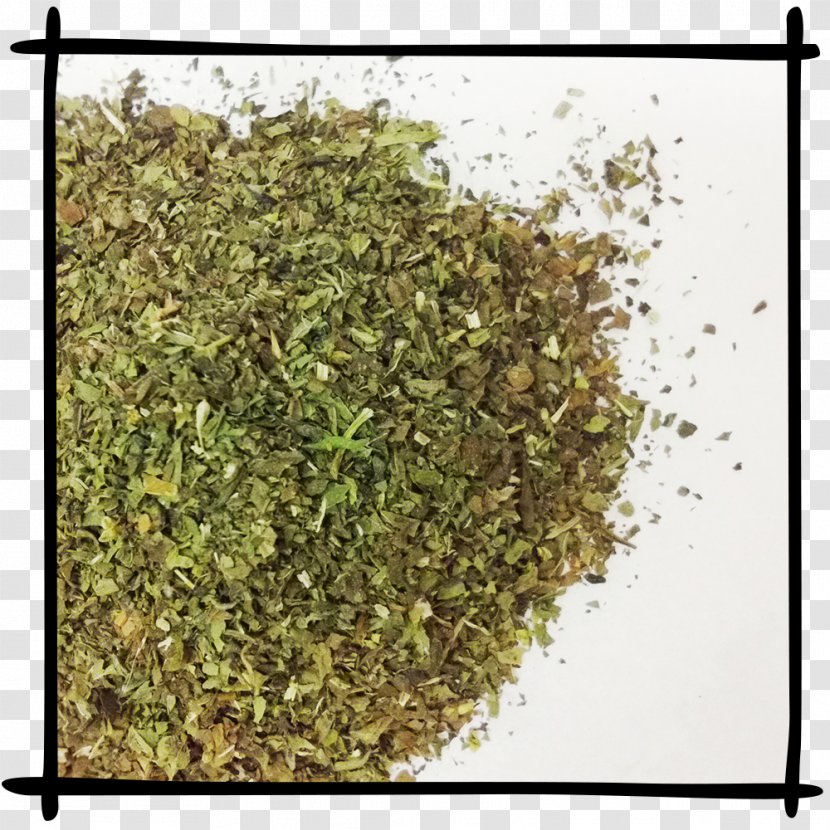 Green Tea Earl Grey Gunpowder Assam - Peppermint - Leaves Transparent PNG