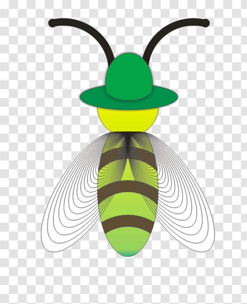 Beetle Firefly Animation Cartoon - Bee - Green Transparent PNG