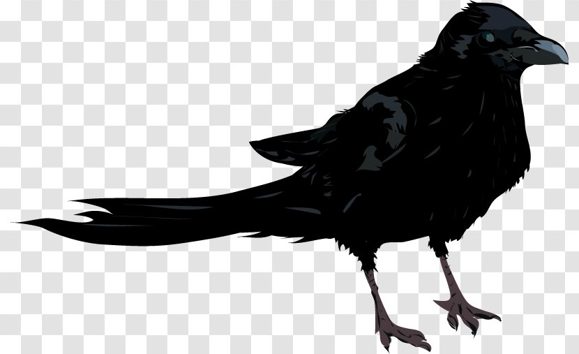 American Crow New Caledonian Rook Drawing - Silhouette - Art Transparent PNG