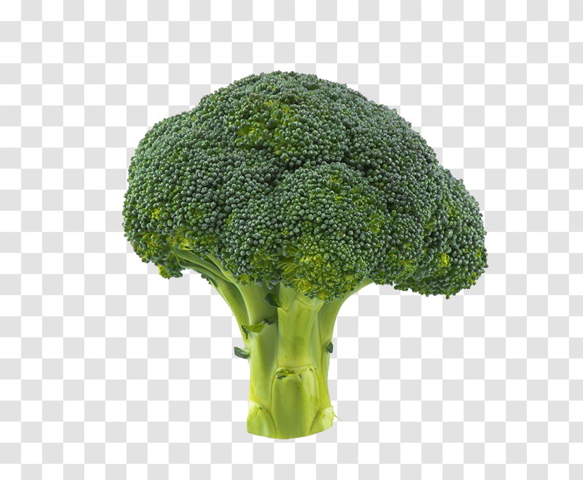Broccoli Vegetable Cauliflower - Green - Image Transparent PNG