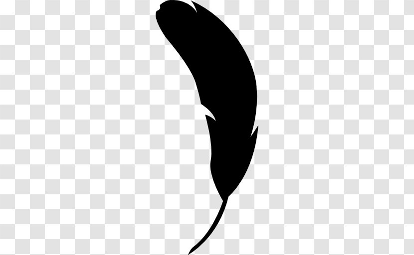 Feather Bird Shape Animal - Silhouette - Black Transparent PNG