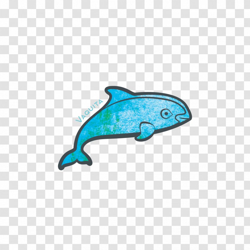 Dolphin Cetaceans Pacific Whale Foundation Porpoise Marine Biology - Learning Transparent PNG