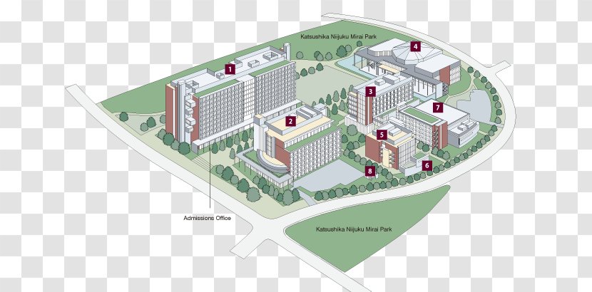 Tokyo University Of Science, Katsushika Campus Sophia Institute Technology - Area - College Mathematics Transparent PNG