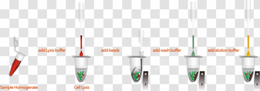 DNA And RNA Extraction Nucleic Acid - Elution Transparent PNG