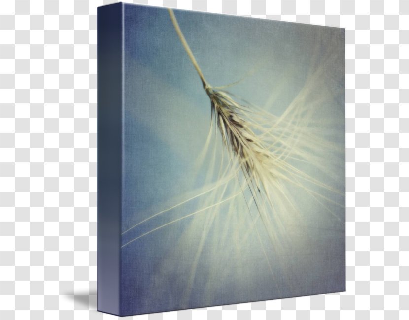 Gallery Wrap Graphic Arts Photography Printing - Picture Frames - Twirling Transparent PNG