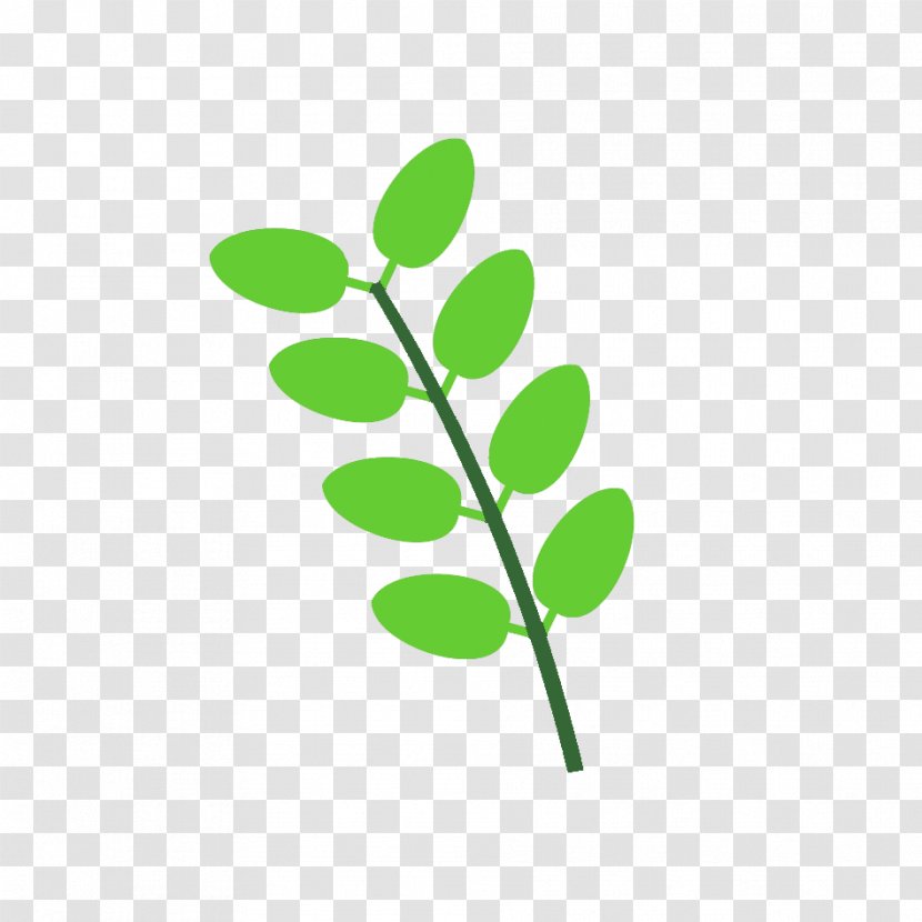 Leaf Plant Stem Line Branching Clip Art Transparent PNG