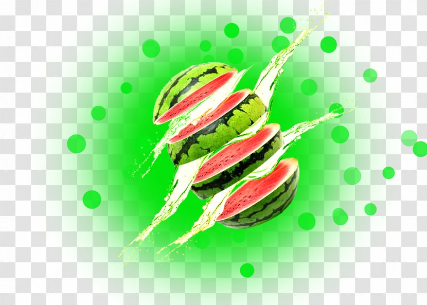 Cantaloupe Watermelon Transparent PNG