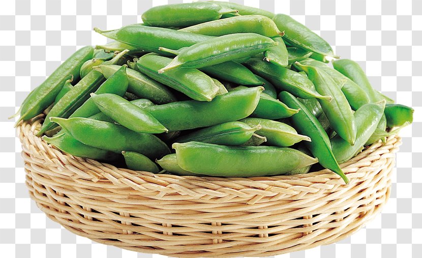 Green Bean Pea Clip Art - Vegetarian Food - Mf Transparent PNG
