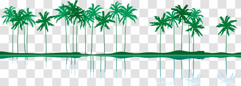 Euclidean Vector Illustration - Leaf - Summer Coconut Tree Island Transparent PNG