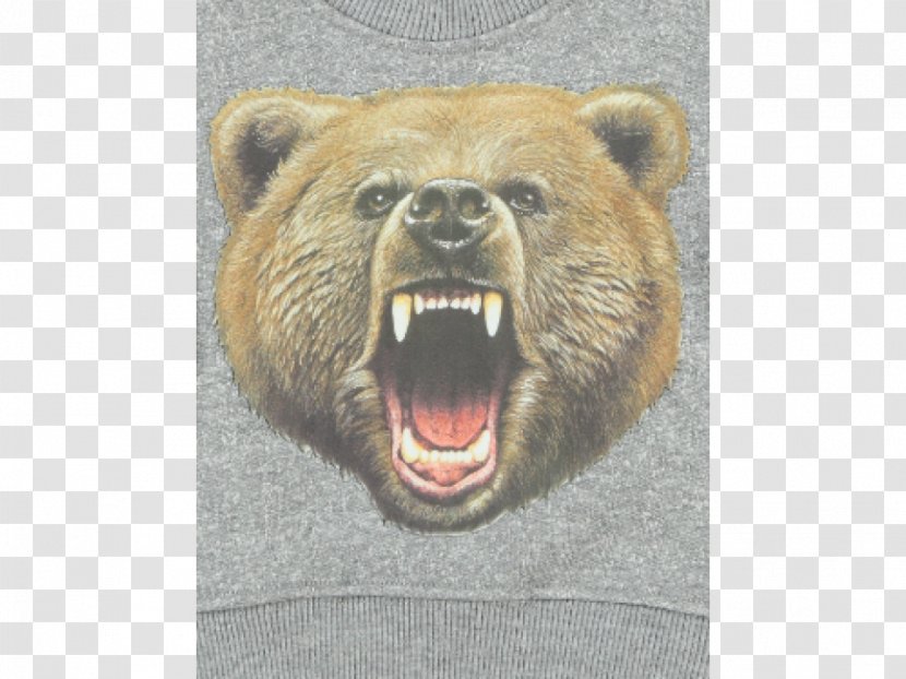 Grizzly Bear Kodiak Alaska Peninsula Brown Attack - Animal Transparent PNG