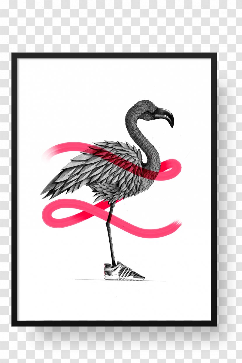 Poster Paper Picture Frames Kiev - Bird - Flamingo Printing Transparent PNG