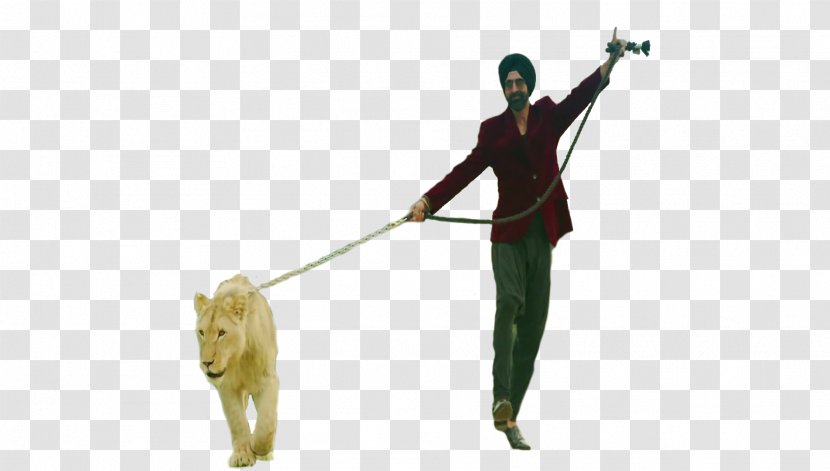 Lion Dog Cat Pet Walking - Akshay Kumar Transparent PNG