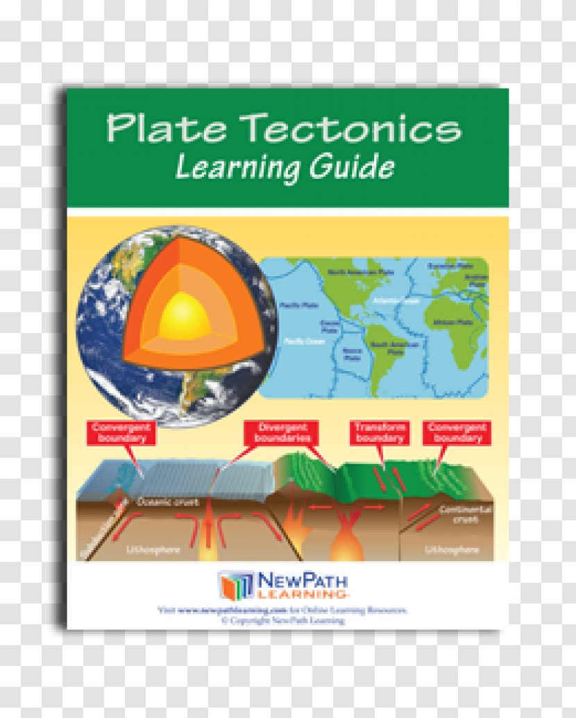 Student Educational Stage Learning E-book Grading In Education - Mitosis Transparent PNG