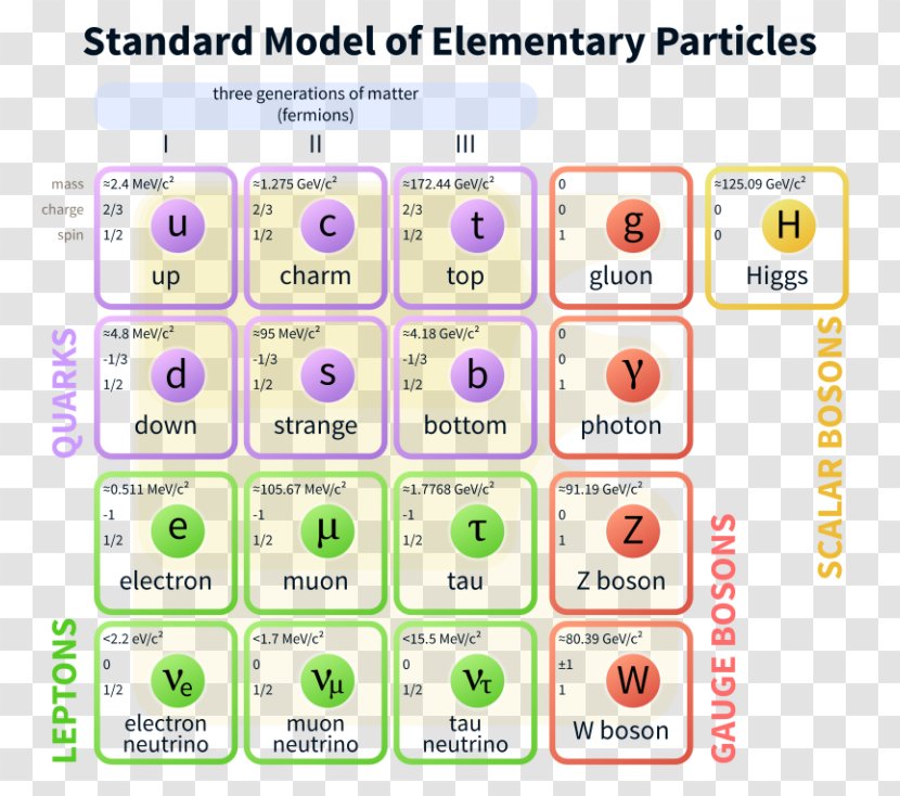 The Standard Model Of Elementary Particles Fundamental Interaction