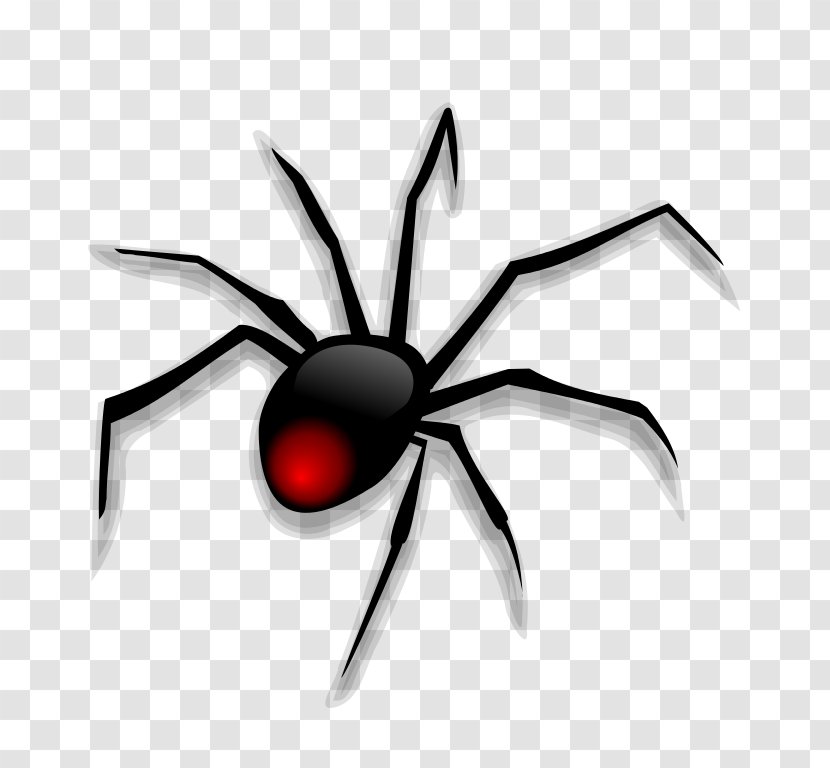 Spider Cartoon Clip Art - Invertebrate - Red Spiders Pictures Transparent PNG