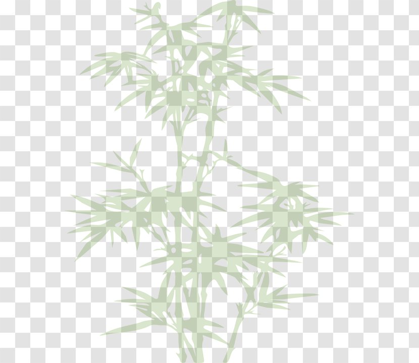 中国人是真的 Clip Art - Light - Bamboo Tree Transparent PNG