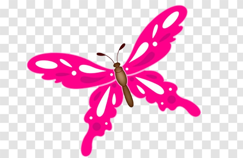 Butterfly Illustration - Pollinator - Pink Transparent PNG
