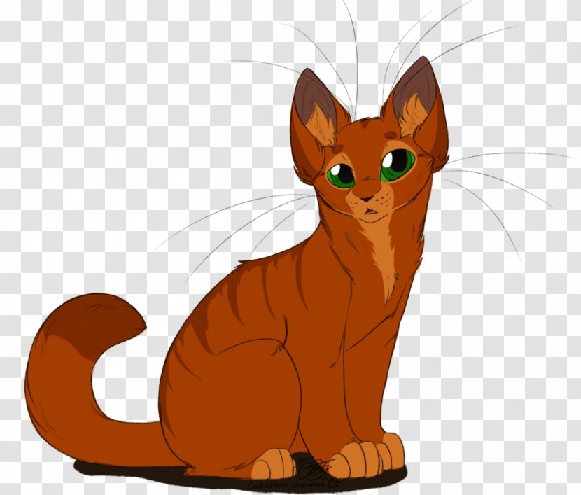 Whiskers Tabby Cat Domestic Short-haired Wildcat Transparent PNG