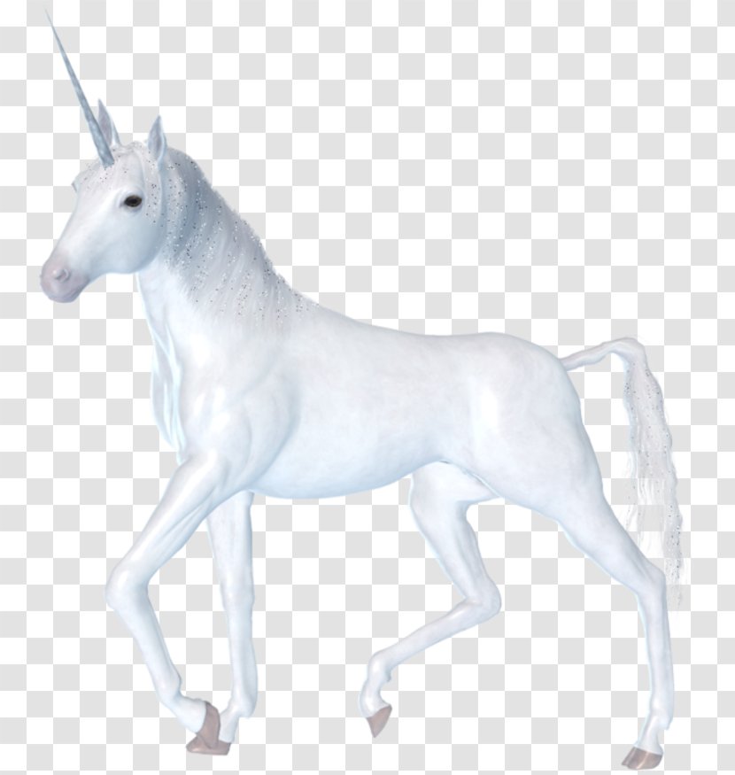 Unicorn Horn Image - Blog Transparent PNG