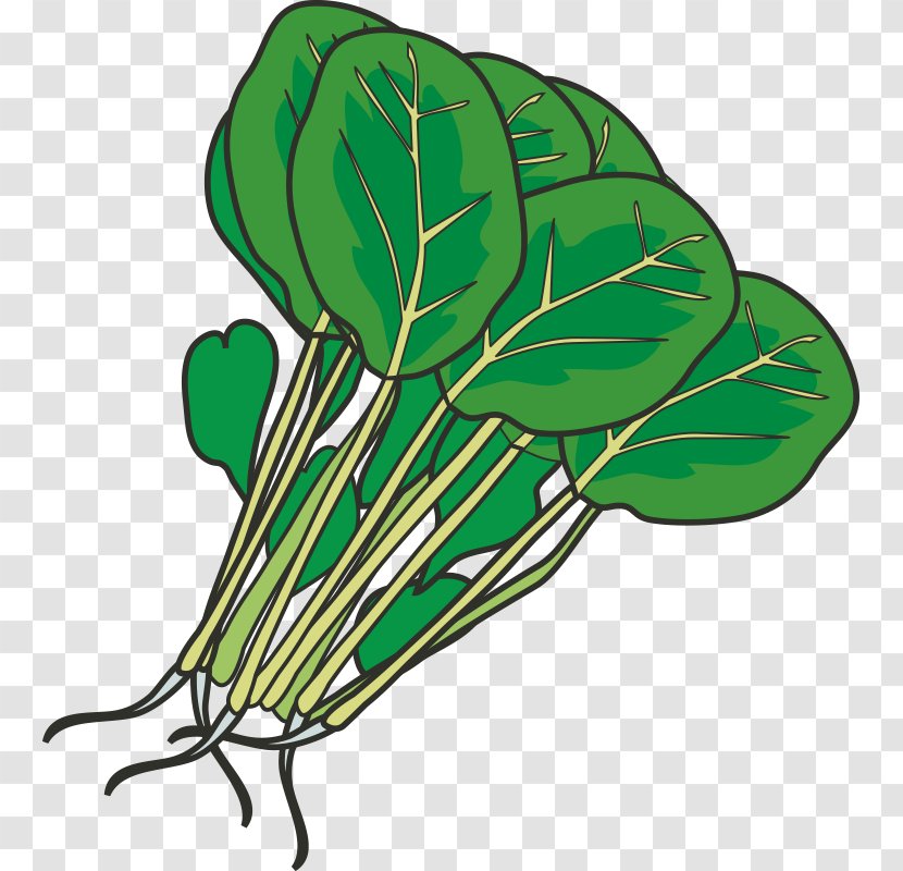 Hot Pot Leaf Vegetable Spinach Clip Art - Organism - Vegetables,Fruits And Vegetables,Green,fruit,vegetables Transparent PNG