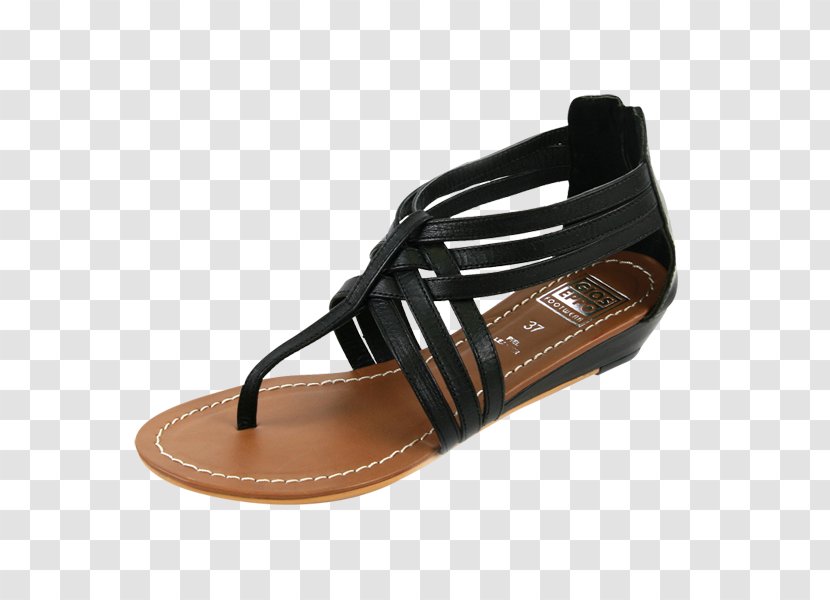 Slide Shoe Sandal Transparent PNG