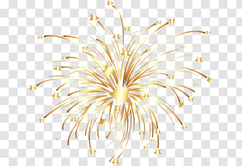 Fireworks Euclidean Vector - Gold - Golden Transparent PNG