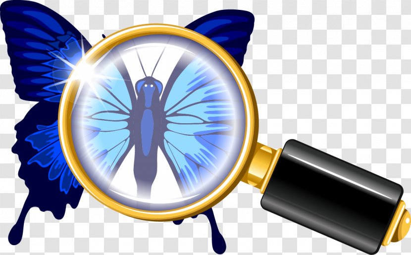 Butterfly Magnifying Glass Euclidean Vector Illustration - Megaphone - Blue Magnifier Transparent PNG