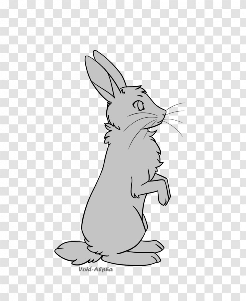 Domestic Rabbit Hare Line Art Drawing - Bunny Transparent PNG