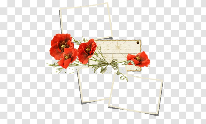 Remembrance Poppy Flower Clip Art - Flowering Plant - Photography Transparent PNG