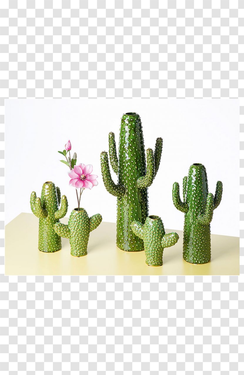 Flowerpot Ceramic Decorative Arts Plant Energy - Cactus Vase Transparent PNG