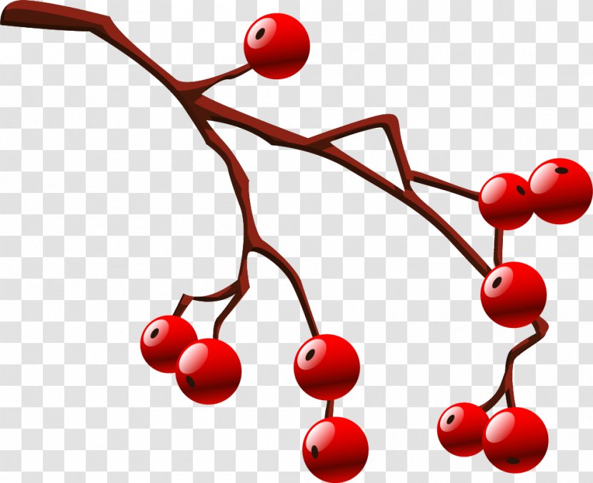 Cherry Red Drawing - Fruit - Cartoon Transparent PNG