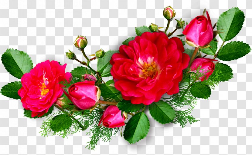 Picture Frame Download Mobile App Clip Art - Floristry - Line Drawing Floral Decoration Pictures Transparent PNG