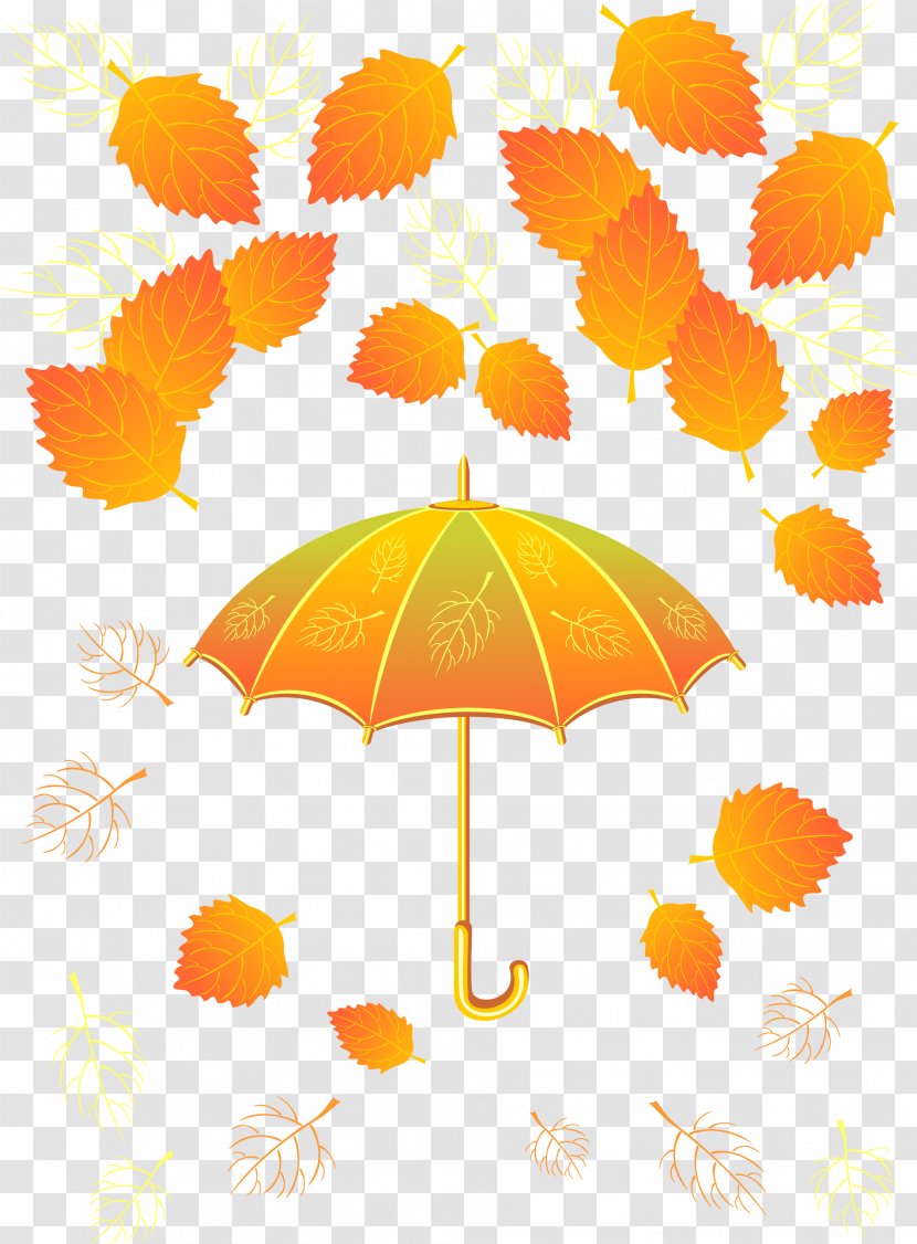 Autumn Umbrella T-shirt Leaf - Maple Transparent PNG