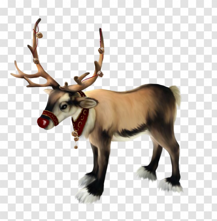 Santa Claus Rudolph Reindeer Christmas Transparent PNG